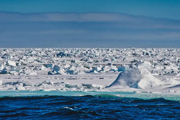 Deniz Buzu Buzul Kıyısı Kuzey Kutbu Norveç — Stok fotoğraf