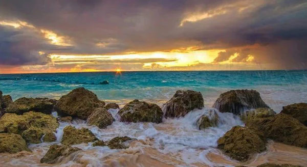 Beautiful Picture Barbados Nature Background — Fotografia de Stock