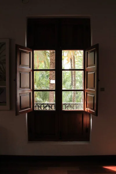 Öppet Fönster Palmmuseet Elche — Stockfoto
