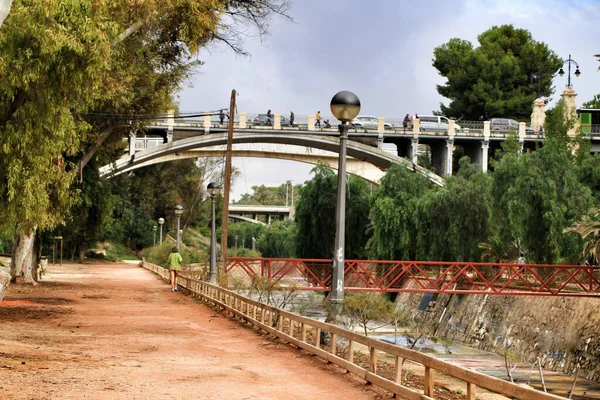 stock image Landscape of the hillside of the Vinalopo River in Elche