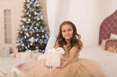 Mutlu bir çocukluk, büyülü bir Noel hikayesi. Noel Baba 'nın hediyesiyle küçük prenses.