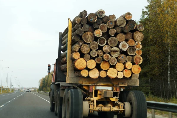 Truck Highway Carries Logs — Stock Photo, Image