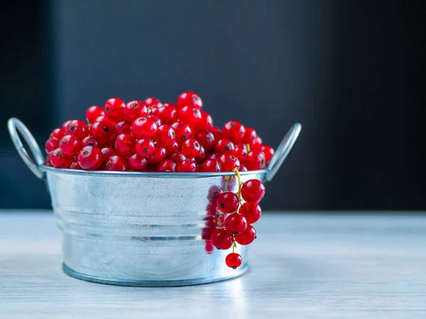 Metal Basin Filled Red Currants — Stock Photo, Image