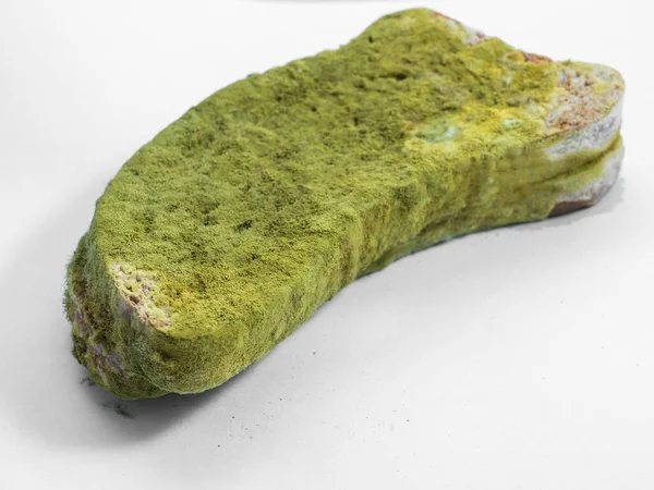 Ein Stück Brot Mit Grünem Schimmel Auf Weißem Hintergrund — Stockfoto