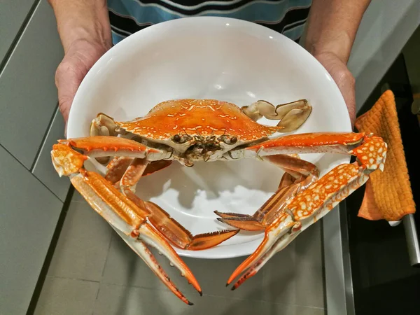 新鲜的巨型蒸煮蓝螃蟹在一个碗里 — 图库照片