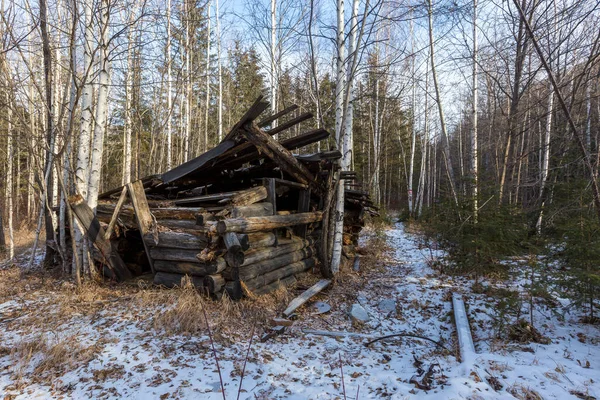 Una Cabaña Ruinas Encuentra Entre Taiga Rusa Temporada Invierno —  Fotos de Stock