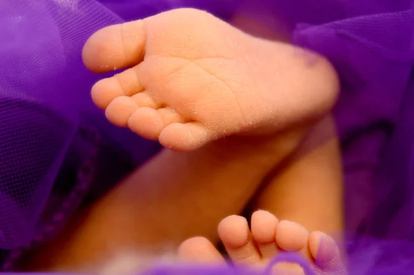 Recién Nacido Niñas Pies — Foto de Stock