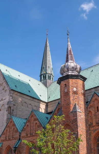 中世の大聖堂 デンマークのリブにある聖母教会 — ストック写真