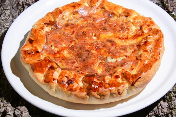 Close Shot Delicious Italian Pizza — Photo