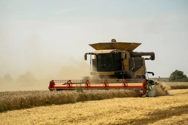 Kombinovat Sklízecí Zemědělské Stroje Sklízející Zlatá Zralá Pšeničná Pole Zemědělství — Stock fotografie