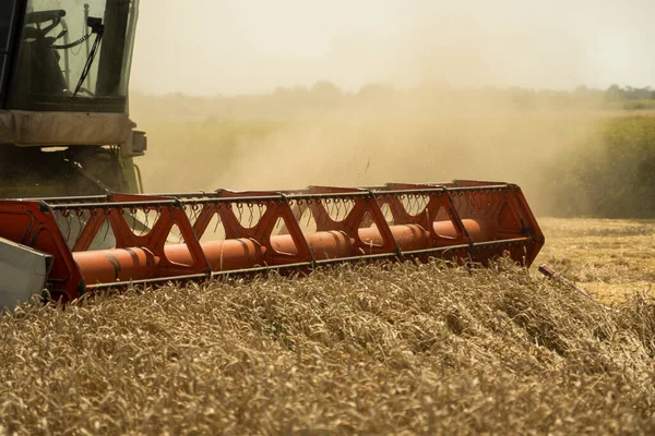 Buğday tarlasını hasat eden ekin biçme makinesini birleştirin. Tarım. Buğday hasat eden hasatçıyı toz samanıyla birleştirin. Heagy tarım makineleri