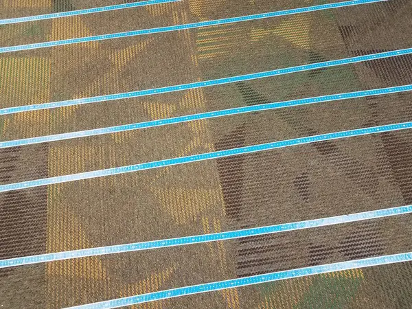 Teppich Oder Teppich Mit Blauen Linien Oder Markierungen — Stockfoto