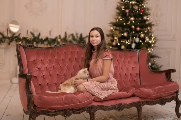 这个女孩和她的猫共度圣诞节 — 图库照片