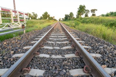 Yeşil çimlerde demiryolu