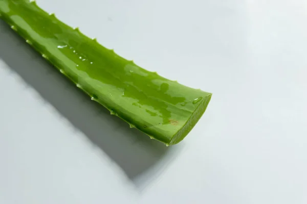 Close View Fresh Green Organic Aloe Vera — Stok Foto