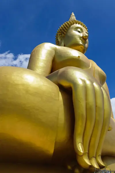 Bouddha Grande Statue Monde — Photo