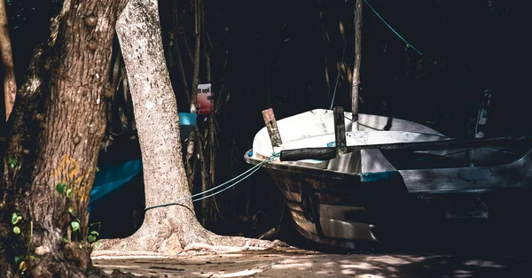Barco Pesca Amarrado Árvore Terra Fotografia Assustador Escuro — Fotografia de Stock
