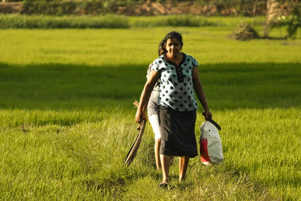 rural village woman walking with her daughter in the paddy filed caring things in both hands
