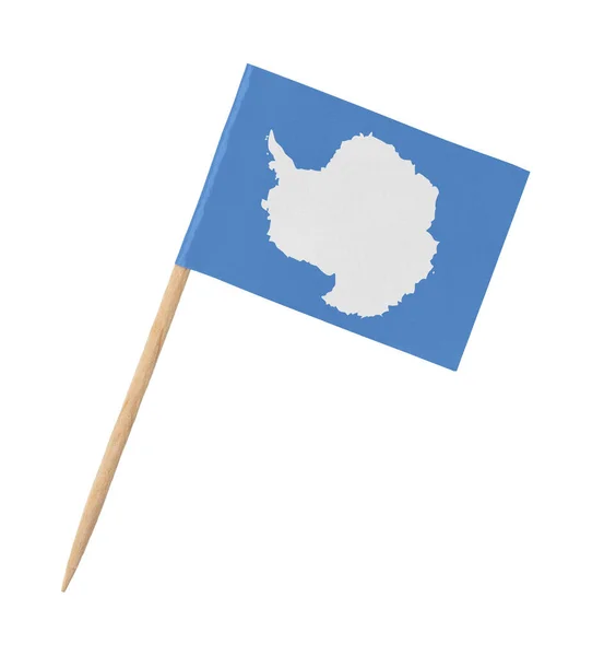 Bandera Papel Pequeña Antártida Palo Madera — Foto de Stock