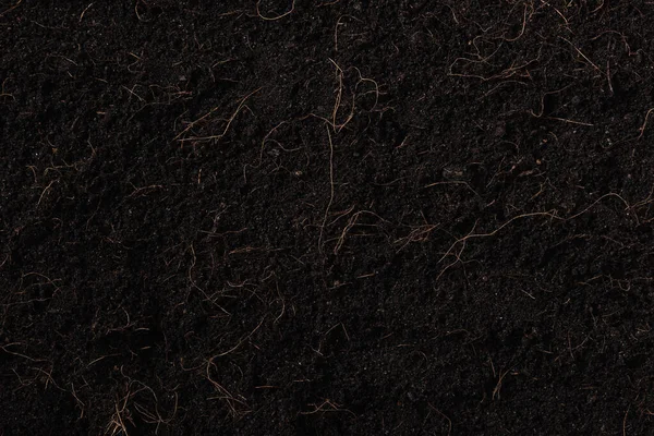Nature Abstraite Toile Fond Terrain Noir Pour Fond Plante — Photo