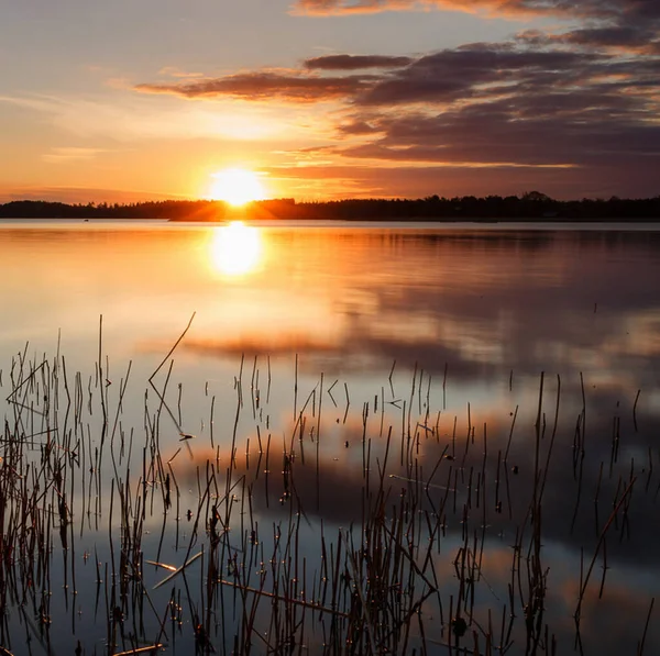 Beautiful Picture Finland Nature Background — Fotografia de Stock