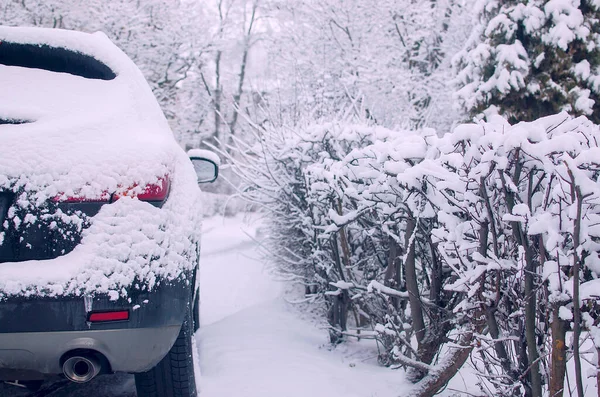 Машина Покрыта Свежим Белым Снегом — стоковое фото