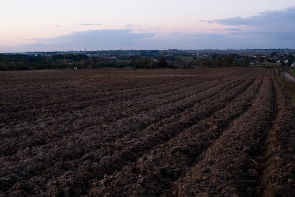 夕阳西下 在田野上新鲜耕耘的黑土 — 图库照片