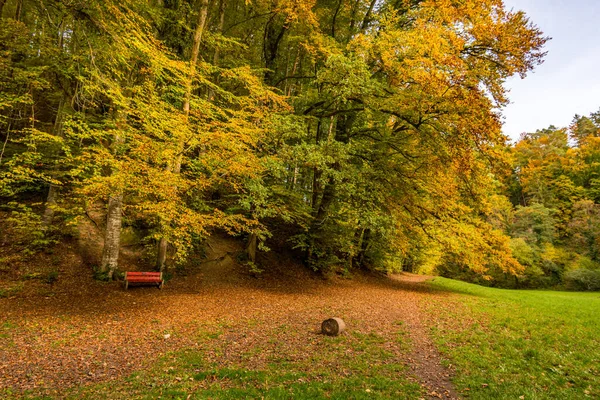 Фантастический Осенний Поход Вдоль Ахтобеля Обзорной Башне Гогенбодмана — стоковое фото