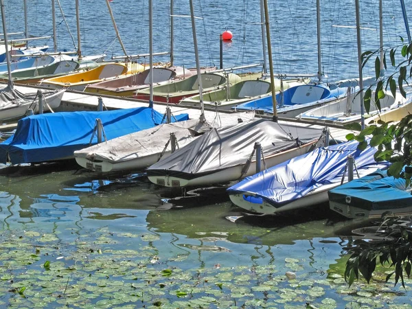 View Outer Alster — Stockfoto