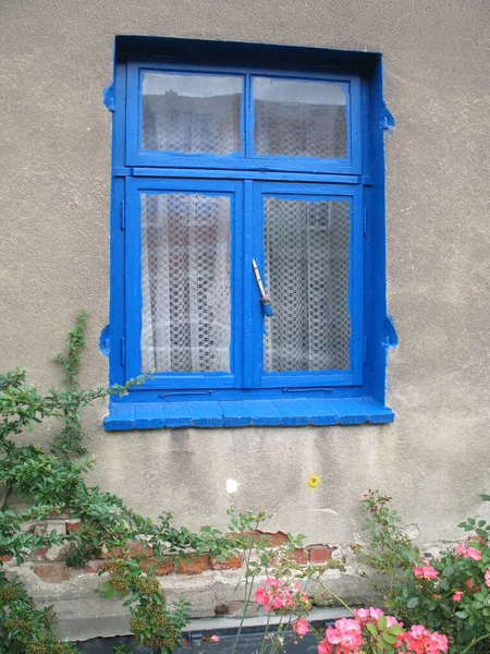 Blue Window Background View — Stock Photo, Image