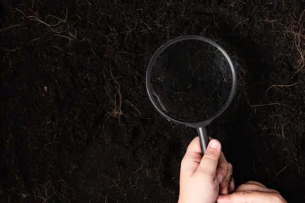 Child Hand Hold Magnifying Glass Check Black Soil — Stok fotoğraf