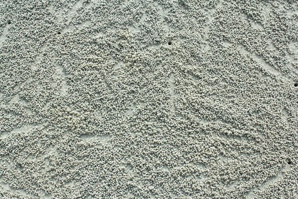 カニの浜辺の砂のボールを作る — ストック写真