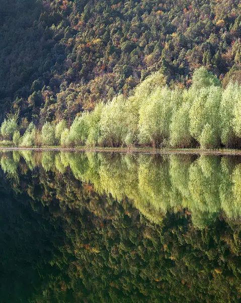 Beautiful Image Montenegro Nature Background — Foto de Stock