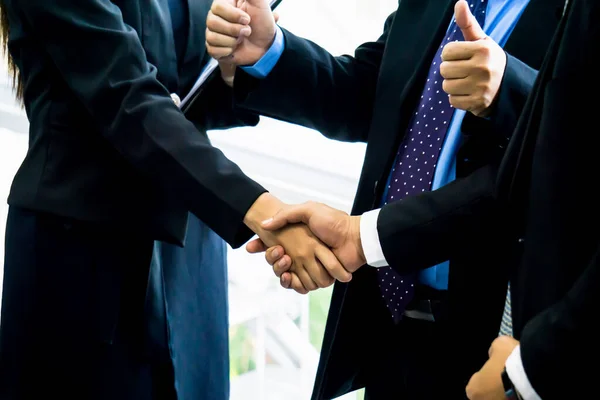 Adult Business Partners Shaking Hands — Stock Photo, Image