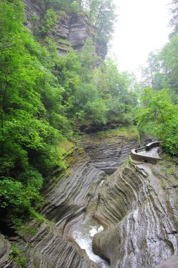 Doğadaki şelalenin inanılmaz manzarası