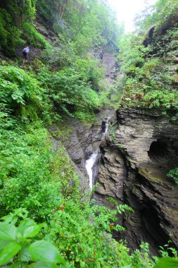 Doğadaki şelalenin inanılmaz manzarası