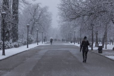İnsanlar Madrid 'deki Etiro Park' ta karlı bir günün tadını çıkarıyor.