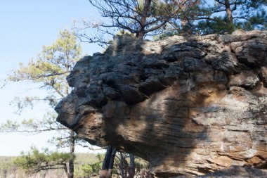 Petit Jean Eyalet Parkı, Arkansas