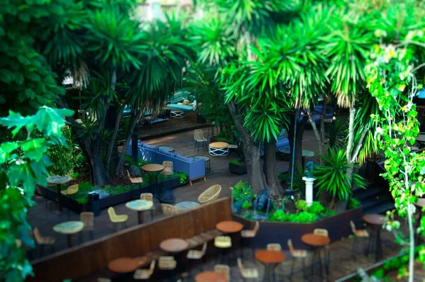 有绿树的户外餐馆 倾斜效果 — 图库照片