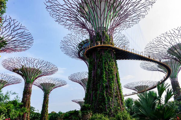 "supertree gardens by the bay singapore, Singapore, Oct 12, 2018"