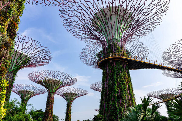 "supertree gardens by the bay singapore, Singapore, Oct 12, 2018"