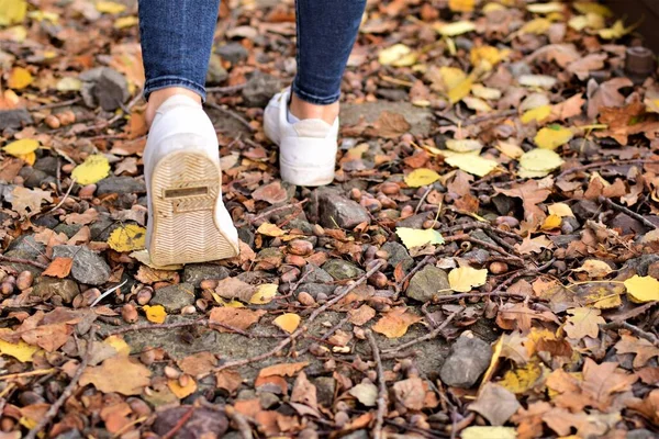 Wanderbeine Blauen Jeans Und Weißen Schuhen Auf Herbstblättern — Stockfoto