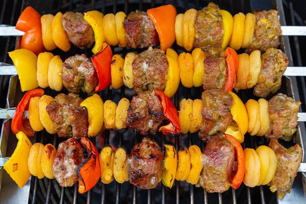 南非羊肉片 烤架上挂着钟椒和杏仁 — 图库照片