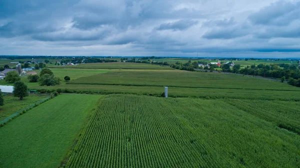 Luftaufnahme Für Maisanbau Und Bauernhöfe Mit Wasserturm — Stockfoto