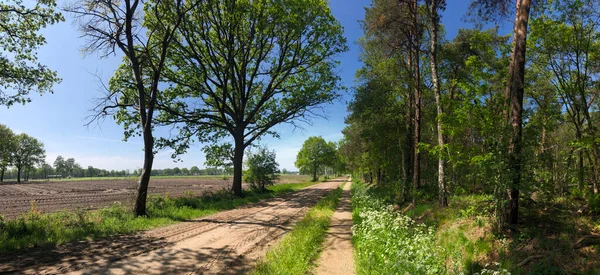 Radweg Rund Bentelo Den Niederlanden — Stockfoto