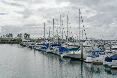 Boats moored at Embarcadero Marina Park North, San Diego. 