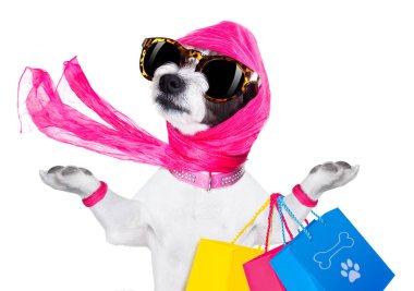 Alışveriş divası köpeği beyaz arka planda izole edildi