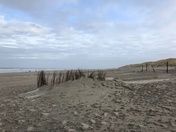 Beach Texel Background View — Stock Photo, Image