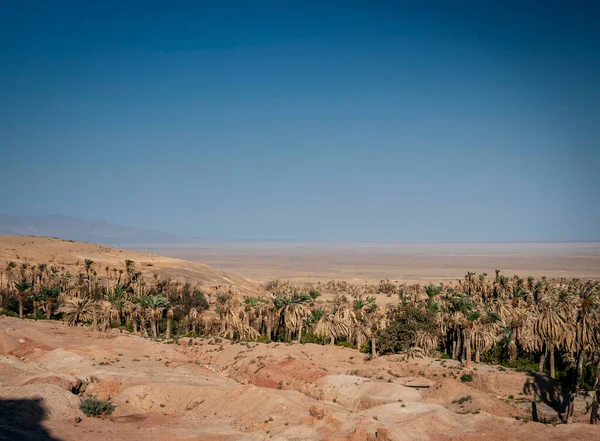 Desert Landscape View Garmeh Oasis Southern Iran — Stock Photo, Image