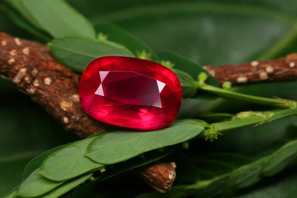 Red Gemstone Beauty Shot — Stockfoto